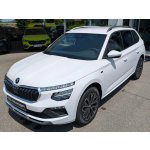 Skoda Kamiq 1.0 TSI 85 kW – Hledejceny.cz