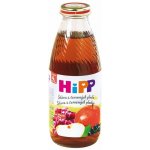 HiPP BIO Z červených plodů ovoce 500 ml – Sleviste.cz