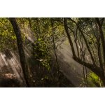 Eminente Reserva 41,3% 0,7 l (karton) – Hledejceny.cz