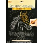 SMT Creatoys Škrabací obrázek stříbrný A4 23x32cm 3 druhy – Zbozi.Blesk.cz