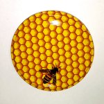 Víčko na sklenici - Včela na plástu – Hledejceny.cz