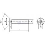 Šroub DIN 965 PH M2,5 x 8 ZB / balení 1000 ks – Sleviste.cz
