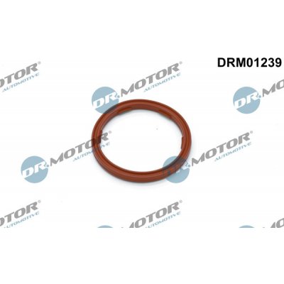 DRM01239 DR.MOTOR AUTOMOTIVE Těsnicí kroužek, olejová vypouštěcí zátka – Zboží Mobilmania