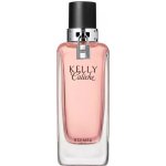 Hermès Kelly Caleche toaletní voda dámská 100 ml – Hledejceny.cz