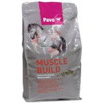 Pavo Muscle Build NEW 3 kg – Zboží Dáma