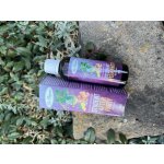 Dr. Popov Student After Party bylinné kapky 50 ml – Hledejceny.cz