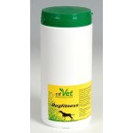 cdVet Bylinkový Dogfitness 200 g – Hledejceny.cz