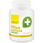 Wolfberry Hlíva ústřičná extrakt 120 kapslí – Hledejceny.cz