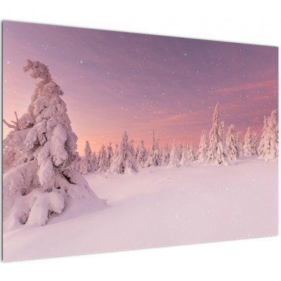 Obraz - Stromy pod sněhovou přikrývkou, jednodílný 100x70 cm – Hledejceny.cz