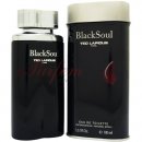 Parfém Ted Lapidus Black Soul toaletní voda pánská 100 ml