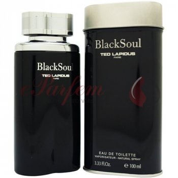 Ted Lapidus Black Soul toaletní voda pánská 100 ml