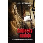 Záblesky nádeje - Jane Bradleyová – Hledejceny.cz
