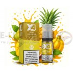 X4 Bar Juice Tropické ovoce 10 ml 10 mg – Hledejceny.cz
