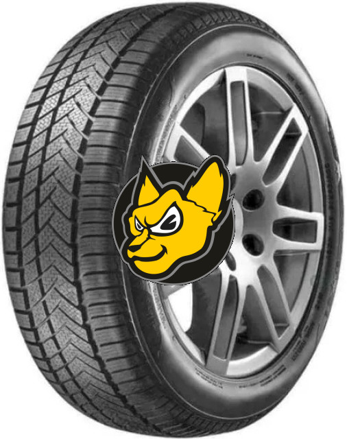 Aptany RW211 225/35 R19 88V