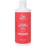 Wella Invigo Color Brilliance Protection Fine Shampoo 500 ml – Zbozi.Blesk.cz