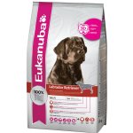 Eukanuba Labrador Retriever 2 x 12 kg – Hledejceny.cz