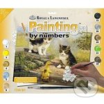 Royal Langnickel Malování podle čísel Přátelé u vody 30 x 40 cm kreativní sada pro děti i dospělé – Zbozi.Blesk.cz