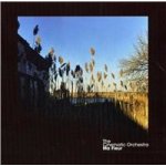 Cinematic Orchestra - Ma Fleur CD – Hledejceny.cz