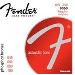 FENDER 8060 LS 45-100 na akustickou baskytaru – Zbozi.Blesk.cz