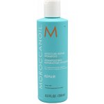 Moroccanoil Moisture Repair Shampoo 250 ml – Zboží Mobilmania