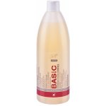 Master profesional šampon pro barvené vlasy 970 ml – Hledejceny.cz
