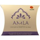 Libebit Tuhý bylinný šampon Amla 70 g