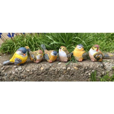 Prodex Import Barevný ptáček různé druhy 13 x 9 cm – Zboží Mobilmania