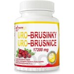 Uro Brusinky 60 tablet – Hledejceny.cz