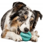 Trixie Denta Fun míček baseball 7 cm – Zboží Dáma
