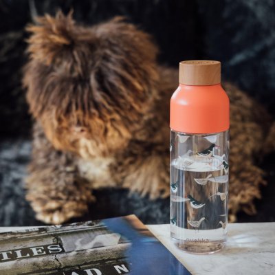 QUOKKA Ice Plastová láhev BIRDS 720 ml – Zboží Mobilmania