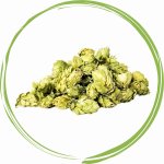 Dromy Chmel šištice řez 1 kg – Hledejceny.cz