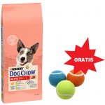 Purina Dog Chow active Chicken 14 kg – Zboží Mobilmania