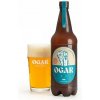 Ogar IPA 14° 6% 1 l (pet)