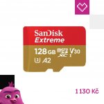 SanDisk SDXC UHS-I U3 128 GB SDSQXAA-128G-GN6AA – Zboží Mobilmania