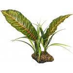 Komodo Tropical Canopy list 31 cm – Zboží Dáma
