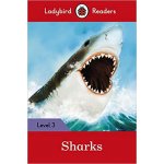 Sharks – Hledejceny.cz