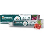 Himalaya Herbals s přírodním fluorem 100 g – Hledejceny.cz