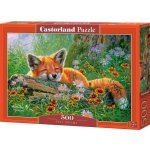 Castorland Liščí snění 500 dílků – Zboží Dáma