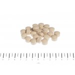 Canina Enzym Hefe 2500 g – Hledejceny.cz
