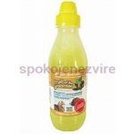 IV San Bernard Zenzero Sambuco 500 ml – HobbyKompas.cz