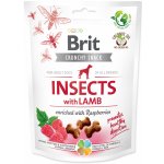 Brit Care Dog Crunchy Cracker Insects with Lamb enriched with Raspberries 200 g – Hledejceny.cz