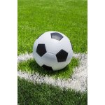 JERRY FABRICS Fleece deka Fotbal – Zboží Dáma