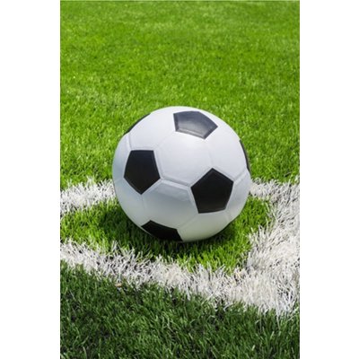 JERRY FABRICS Fleece deka Fotbal – Zboží Dáma