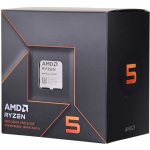 AMD Ryzen 5 8500G 100-100000931BOX – Zboží Živě