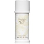 Elizabeth Arden White Tea deodorant krém 40 ml – Hledejceny.cz