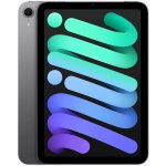 Apple iPad mini (2024) 512GB Wi-Fi Space Gray MYGY3HC/A – Zboží Živě