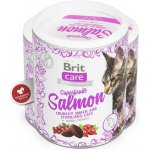 Brit Care Cat Snack Superfruits Salmon 100 g – Zbozi.Blesk.cz