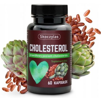 Skoczylas Cholesterol 60 kapslí – Hledejceny.cz