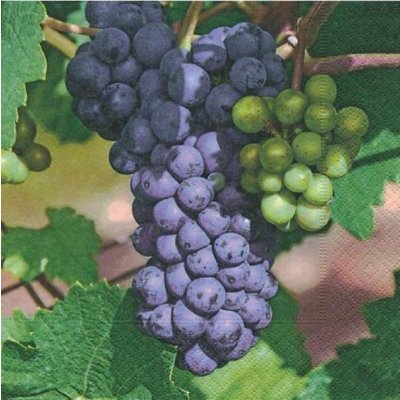 Ubrousek 33x33cm Réva – Zboží Dáma