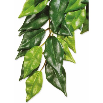 Hagen Exo Terra rostlina Ficus malá 45 cm